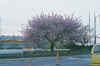 004-vancouver airport 6am.jpg (21122 bytes)