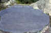 cham5.jpg (6045 bytes)