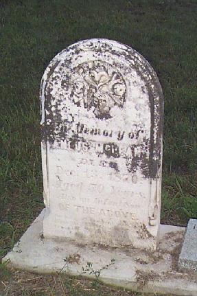 angusmclean.jpg (30574 bytes)