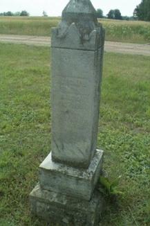 angusmcneill.jpg (123393 bytes)