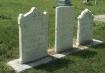 groupthreelimestonetmb.jpg (2162 bytes)