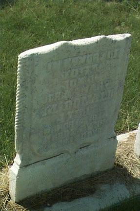 johnmcdonald2.jpg (20793 bytes)