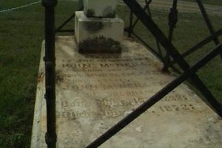 johnmcneill1.jpg (102377 bytes)