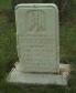 lmcneill1tmb.jpg (6526 bytes)