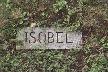 isobelthm.jpg (3612 bytes)