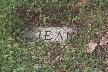 jeanthm.jpg (3431 bytes)